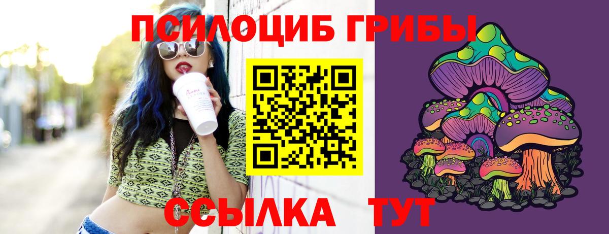 Дедовск  Псилоцибиновые грибы ЛСД  Вход с VPN 