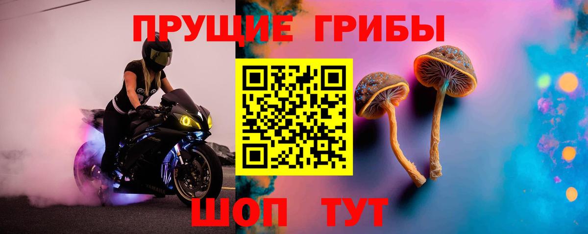 Псилоцибиновые грибы прущие грибы Дедовск